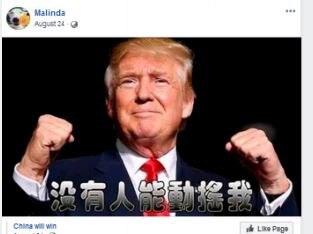 One of the suspected fake accounts by “Malinda” which says “China will win” and “Trump is doing a bad job” and had “screwed up the epidemic”.