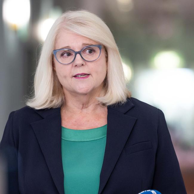 Veteran Queensland Coalition MP Karen Andrews. Picture: Gary Ramage