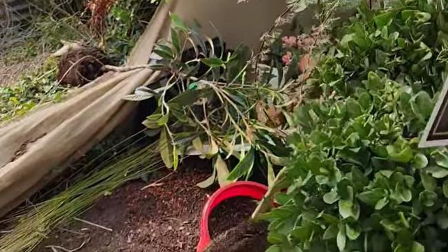 Damage caused to Formosa Gardens Nursery in Redan during a burglary on January 29, 2025. Picture: Facebook