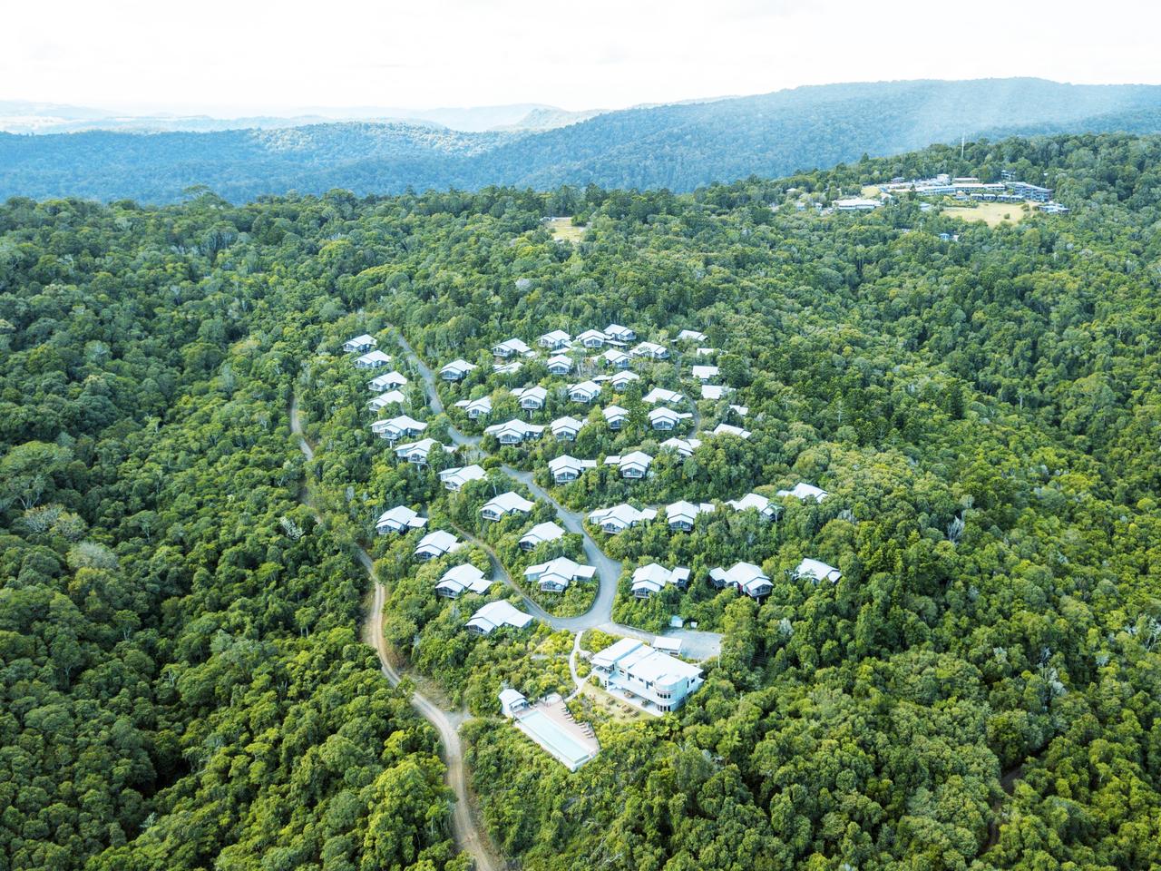 O Reilly S Rainforest Retreat Accomodation Treetop Walk Restaurants Escape Com Au