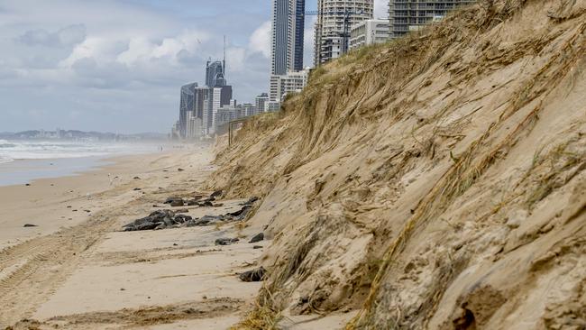 Sand erosion north of Surfers Paradise. Picture: Jerad Williams.