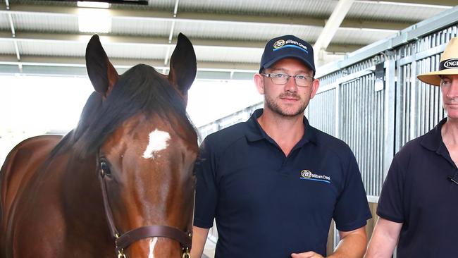 Bay colt Lot 433 Being led out buy handler Leon Phillips and Director Inglis Bloodstock Johnathan D'Arcy. Warwick Farm, Monday, April 2nd 2018. It's the Inglis Easter Yearling Sale this weekend, the biggest sale of the year for the auctioneers. Inglis director John D'Arcy will be there for photos at the stables with the horses that have just arrived.