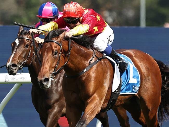 SYDNEY, AUSTRALIA - NOVEMBER 09: Tim Clark riding North England wins Race 6 Inglis Golden Gift during Sydney Racing at Rosehill Gardens on November 09, 2024 in Sydney, Australia. (Photo by Jeremy Ng/Getty Images)