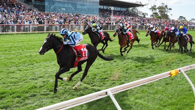 Onesmoothoperator (USA) ridden by Craig Williams wins the Ladbrokes Geelong Cup at Geelong Racecourse on October 23, 2024 in Geelong, Australia. (Reg Ryan/Racing Photos via Getty Images)