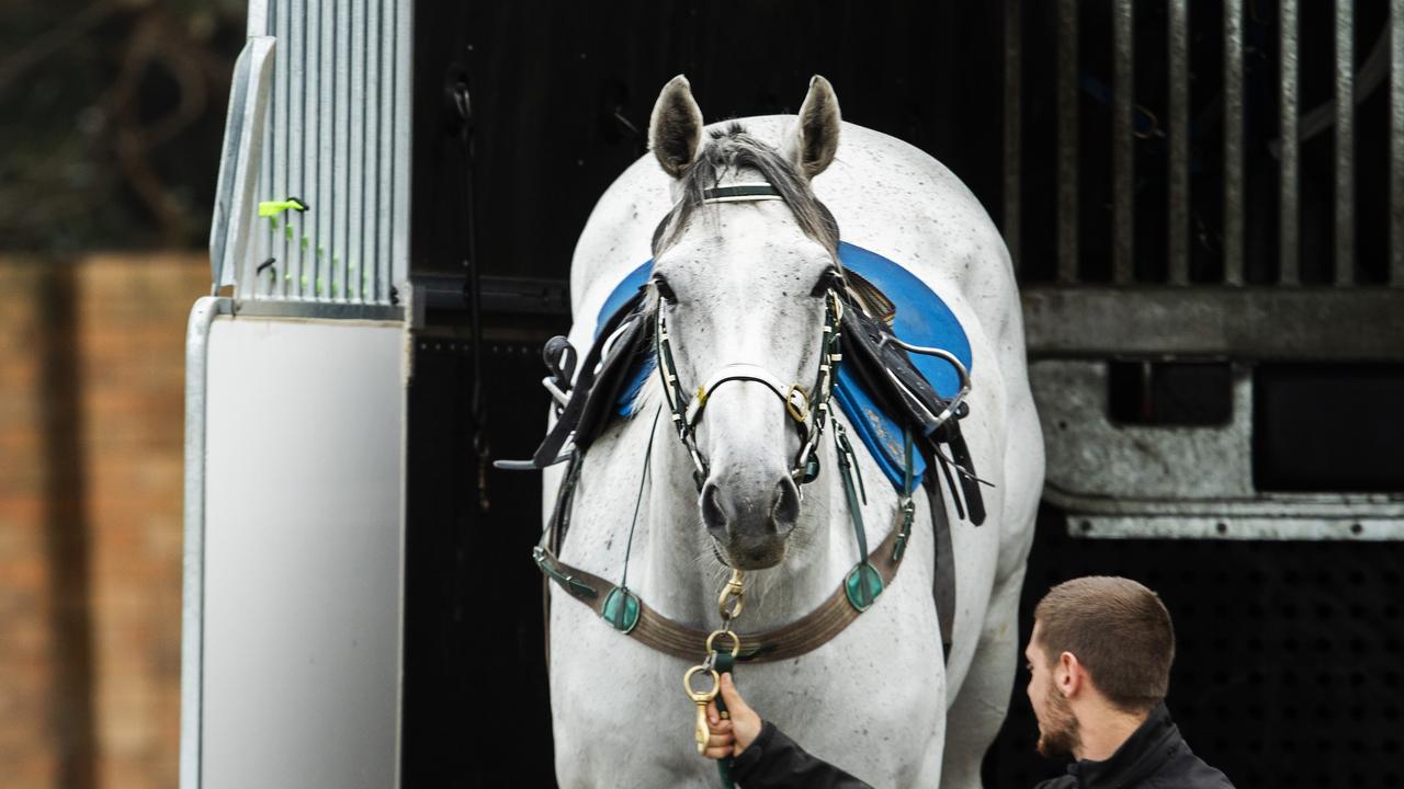 Racing Preparations At Botany Bay