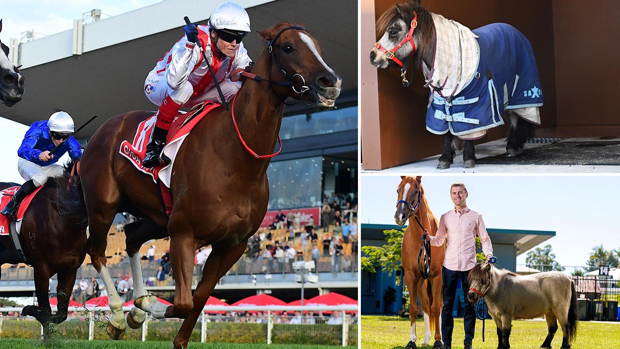 No Frankie, no worries for Giga Kick in Group 1 attack