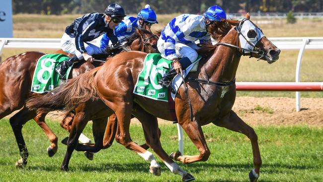 Wegottem Today Son winning at Werribee under jockey Joe Bowditch in April. Picture: Racing Photos