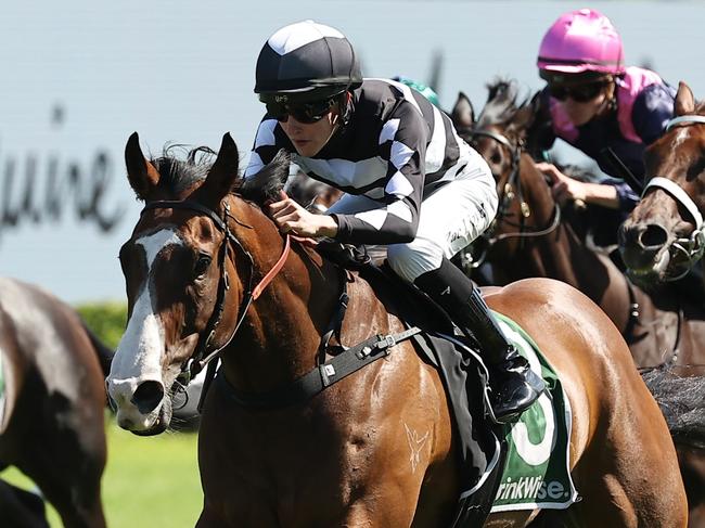 SYDNEY, AUSTRALIA - DECEMBER 28: Zac Lloyd riding Disneck wins Race 6 James Squire during Sydney Racing at Royal Randwick Racecourse on December 28, 2024 in Sydney, Australia. (Photo by Jeremy Ng/Getty Images)