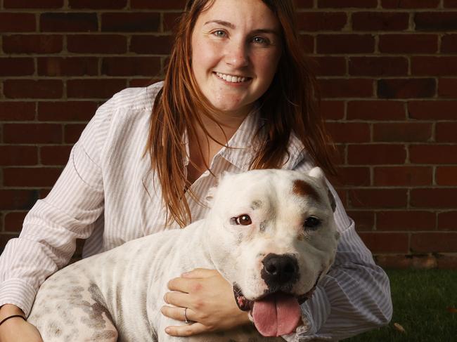 Grace Hills with her dog Max the three year old Staffy that survived a snake bite resulting in a vet bill worth $25,000 of treatment.  Picture: Nikki Davis-Jones