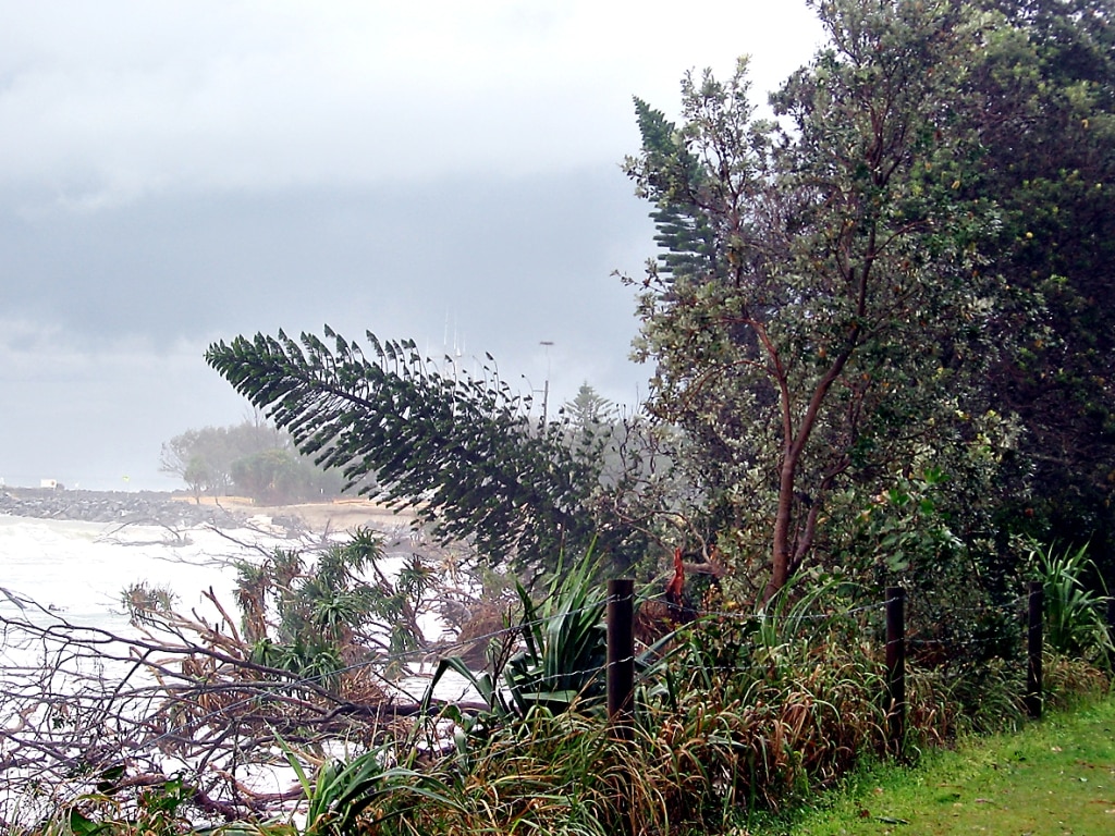 Kingscliff erosion | Daily Telegraph