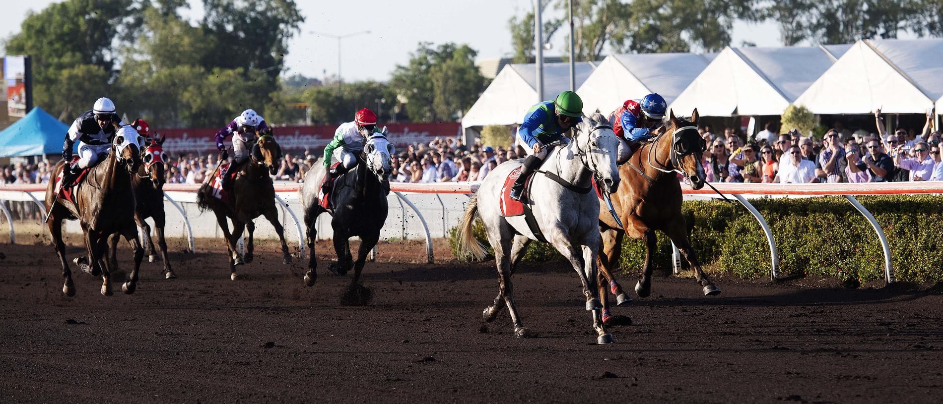 Darwin Cup 2019: Ihtsahymn takes out Darwin Cup in a classic | NT News