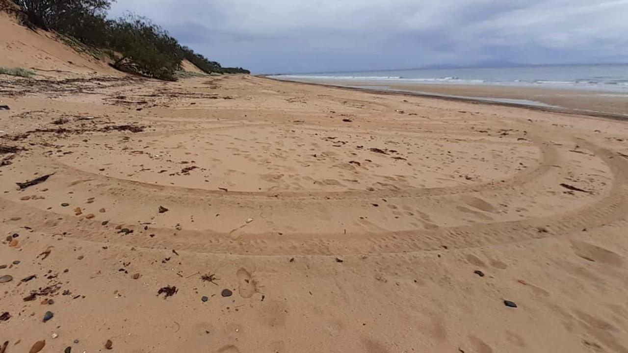 Driving tracks found at Harbour Beach during turtle nesting season, 2020. Picture: Cass Hayward.