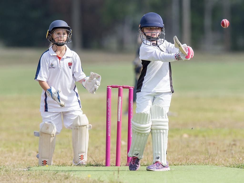 Central Coast participation numbers have doubled for girls cricket | Daily  Telegraph