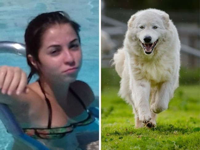 20yo mauled to death by pack of dogs