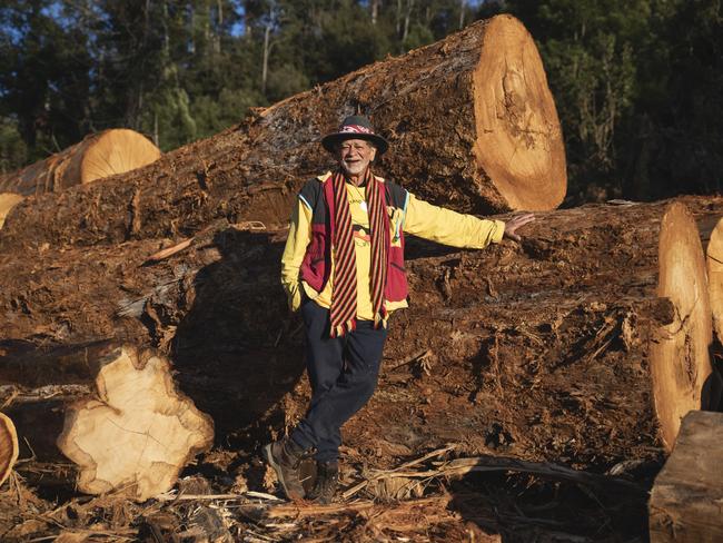 A warrant has been issued for the arrest of Tasmanian Aboriginal elder Jim Everett-puralia meenamatta, who has refused to appear in court over a forestry trespass charge. Picture: Anna Brozek/Bob Brown Foundation