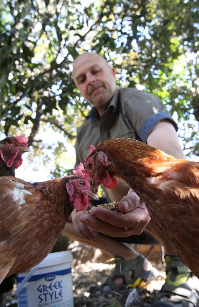 Permaculture educator Dean Bleasdale who rescues battery hens headed for the abattoir. Picture: David Kelly