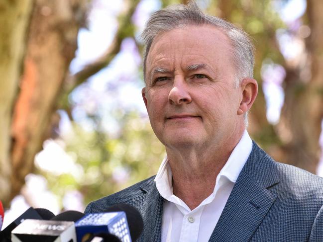 Opposition Leader Anthony Albanese. Picture: NCA NewsWire / Flavio Brancaleone