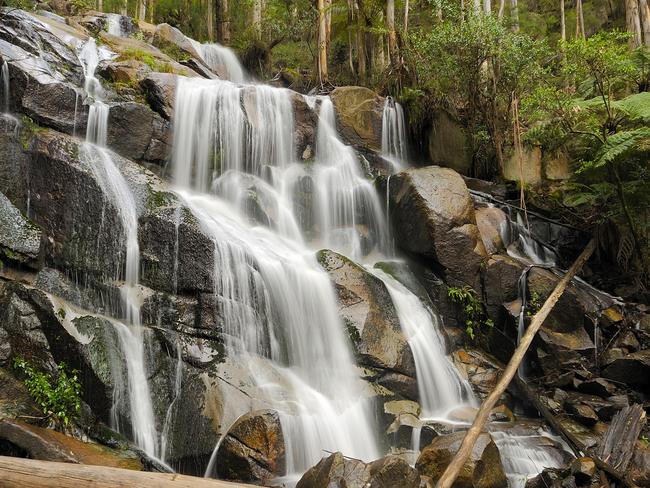 Toorongo Falls, near Noojee.