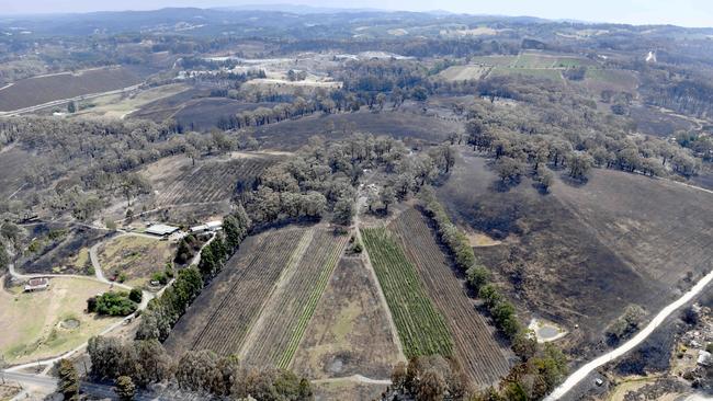 Destroyed property near Lobethal, Adelaide Hills. Picture: Naomi Jellicoe