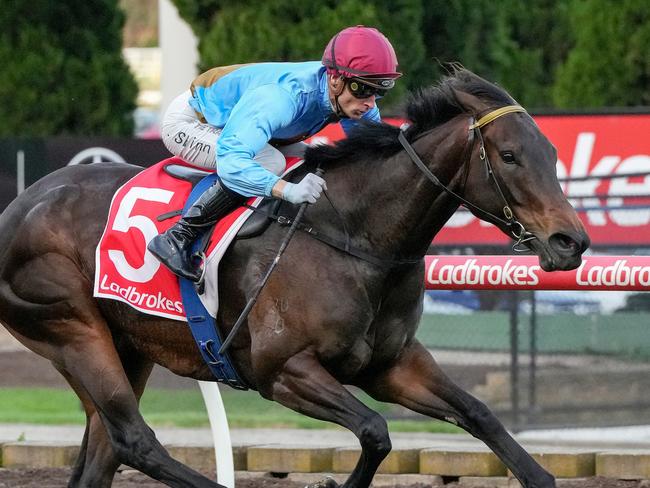 Apache Song ridden by Blake Shinn wins the The Drug Detection Agency Handicap at Moonee Valley Racecourse on November 29, 2024 in Moonee Ponds, Australia. (Photo by George Salpigtidis/Racing Photos via Getty Images)