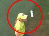 AFL member’s life ban for bottle throw