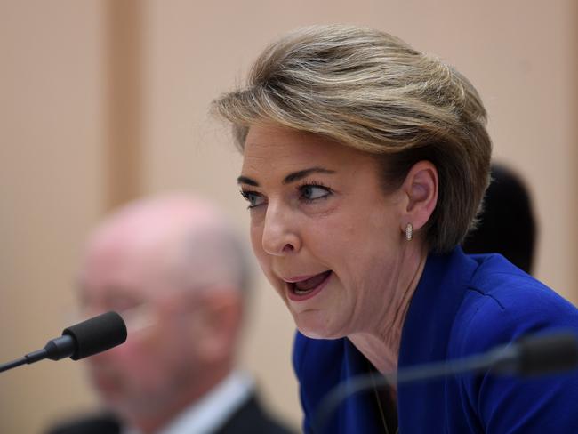 Employment Minister Michaelia Cash  maintains that she was not notified of the raids until she saw them on television.