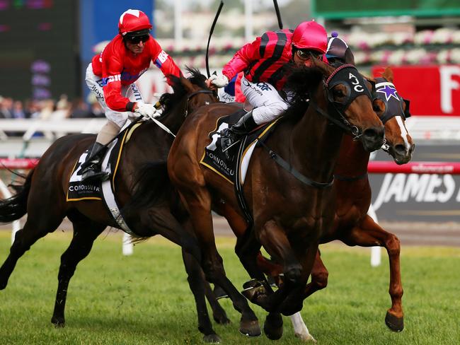 Damien Oliver combines with Surge Ahead to win at Flemington in 2013.