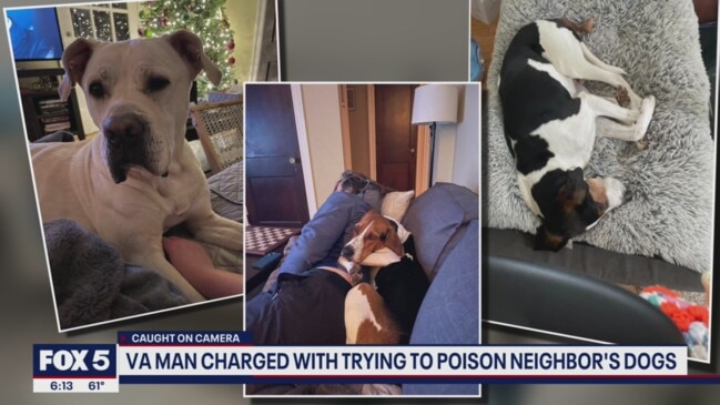 virginia-man-charged-with-trying-to-poison-neighbors-dogs-news