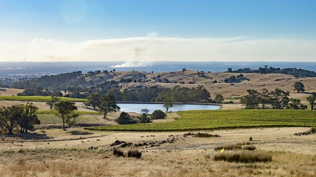 Fowles Wine has more than 120 hectares of vineyards. Picture: Zoe Phillips