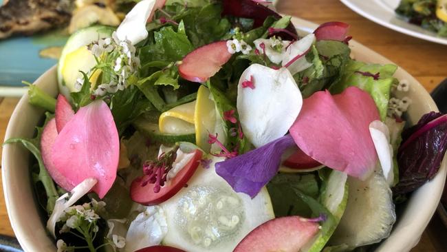 Penobscot Farm salad at Watervale Hotel, Clare Valley.