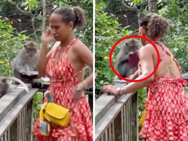 Moment monkey destroys tourist’s passport