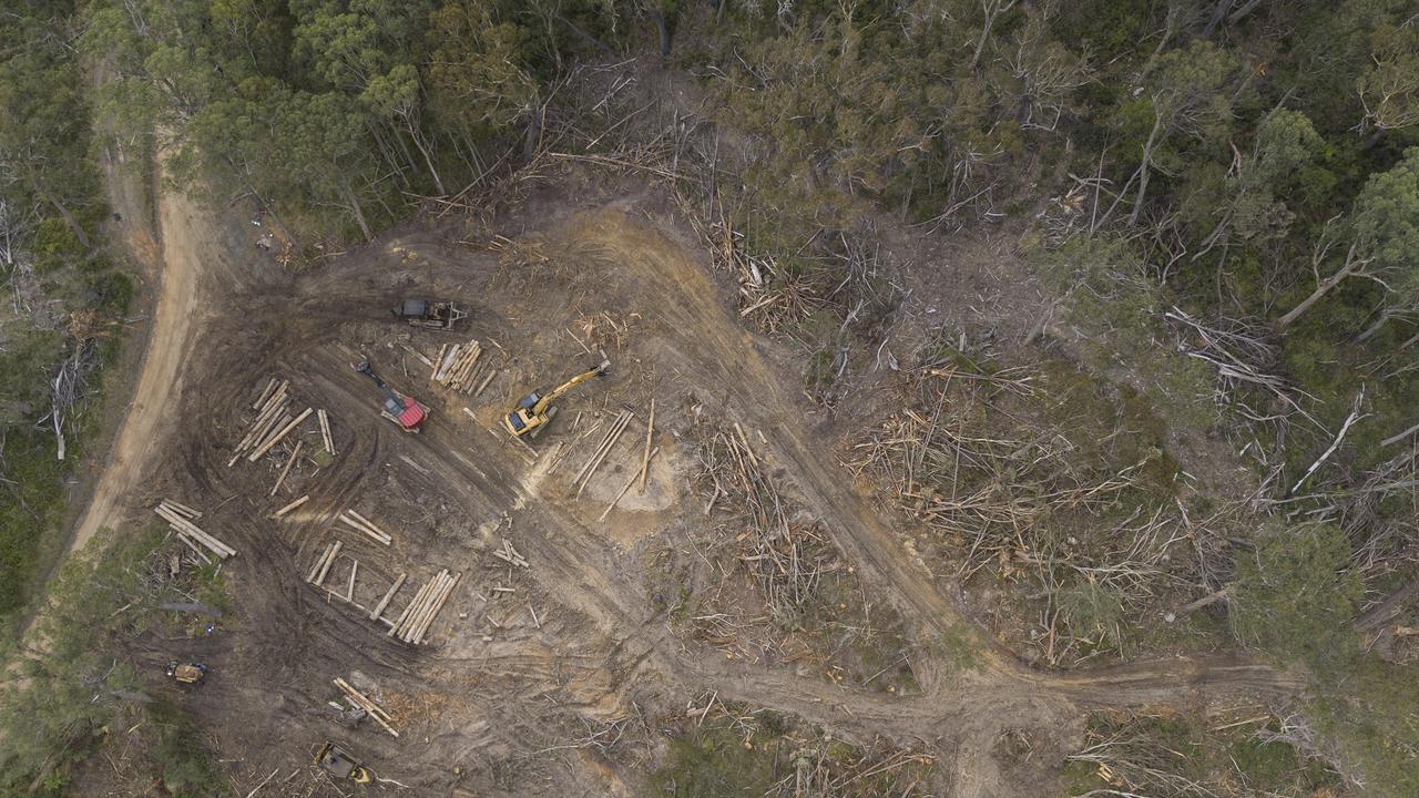 Logging in Tallaganda State Forest, NSW. Picture: Andrew Kaineder / WWF-Australia