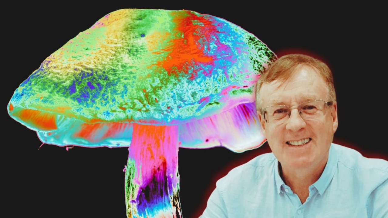 From banking to psychedelics: a journey in mental health