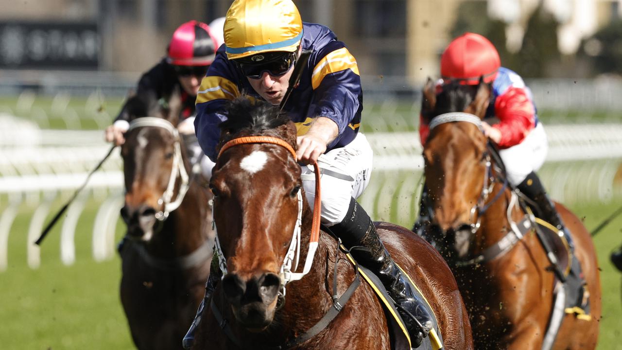 Masked Crusader deserves another chance at Rosehill Gardens. Picture: Getty Images