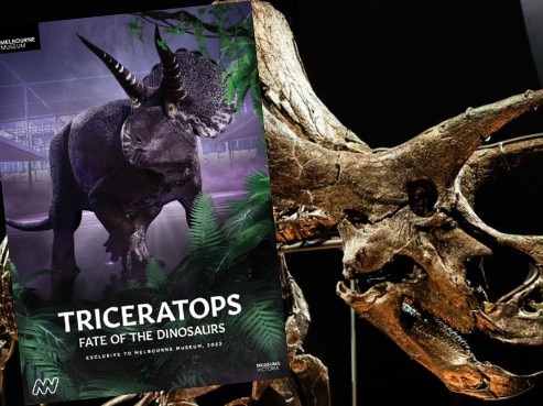 Triceratops, Melbourne Museum poster inset pic.