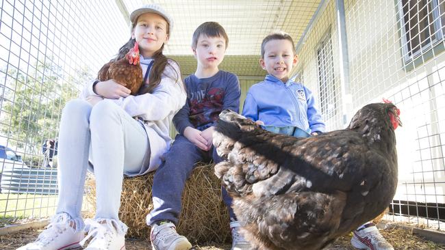 William Carey Christian School students learn about paddock to plate ...