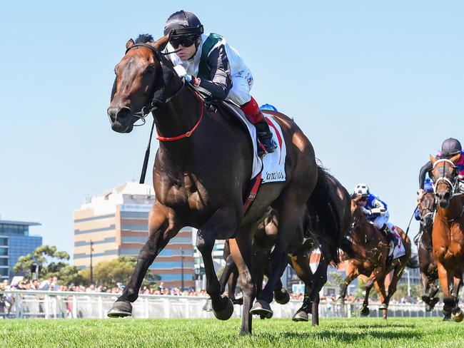 Mr Brightside (NZ) ridden by Craig Williams wins the Lamaro's Hotel Futurity Stakes at Caulfield Racecourse on February 24, 2024 in Caulfield, Australia. (Photo by Reg Ryan/Racing Photos via Getty Images)