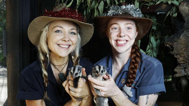 Wildlife keepers Rickie Millard and Lisa McArdle care for four-month-old mahogany gliders Mel and Leuca. Picture: Brendan Radke