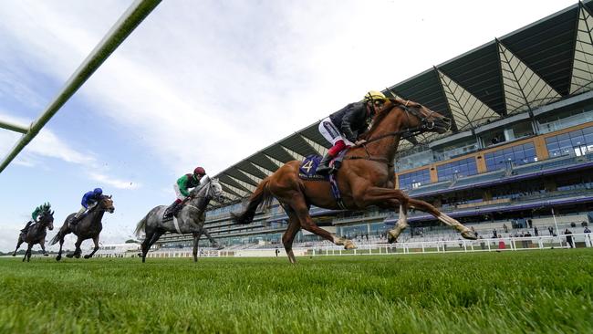 Frankie Dettori rides Stradivarius to victory. Picture: Alan Crowhurst/Getty