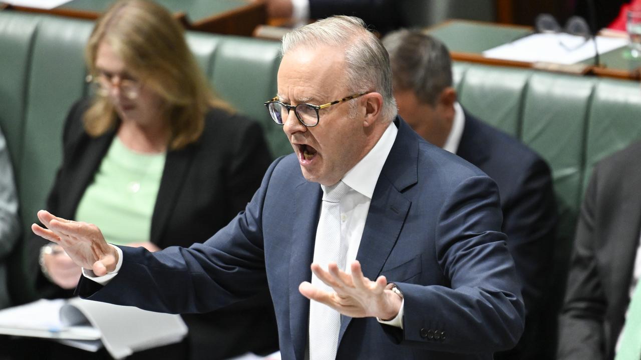 Leadership standard: Albanese called out