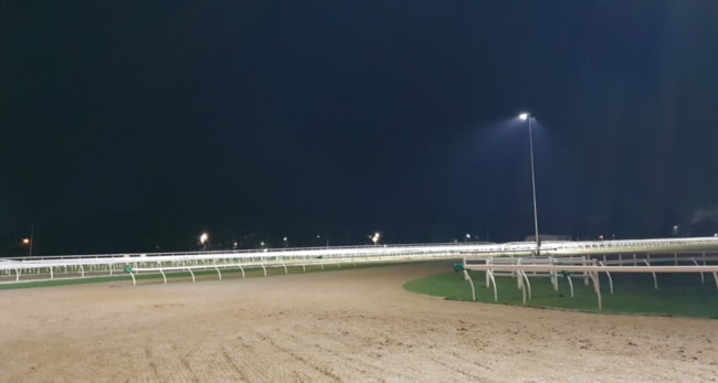 New lights at Rosehill Gardens.