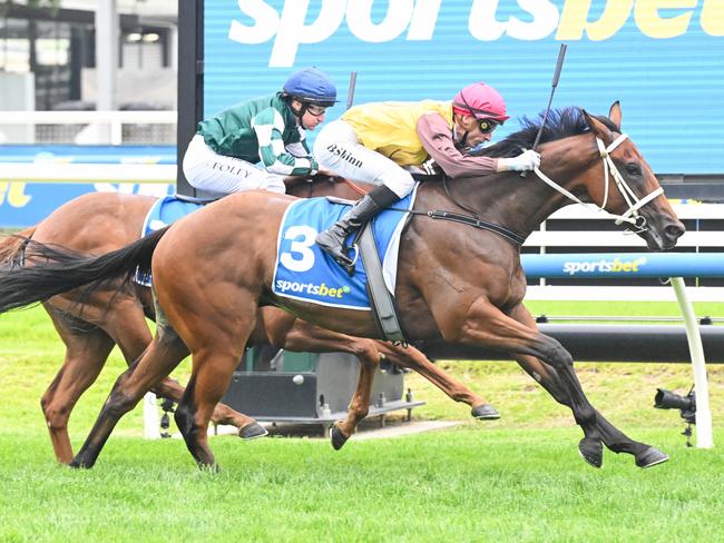 Field Of Play ridden by Blake Shinn wins the Sportsbet Blue Diamond Prelude (C&G) at Caulfield Racecourse on February 08, 2025 in Caulfield, Australia. (Photo by Reg Ryan/Racing Photos via Getty Images)