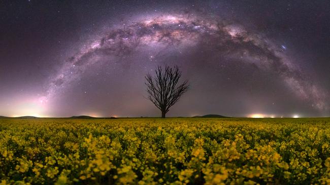 A stunning sky over a canola field. Picture: Jarrod Andrews