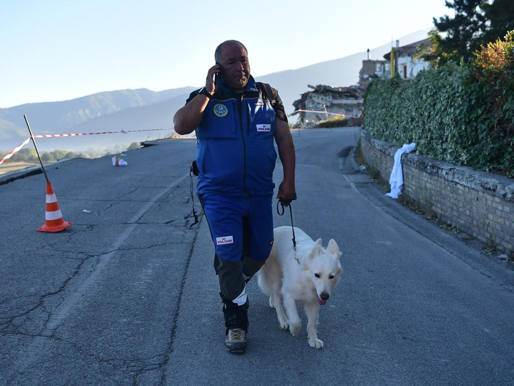 AMATRICE, ITALY - AUGUST 25: A search dog handler talks on his phone, on August 25, 2016 in Amatrice, Italy. The death toll in the 6.2 magnitude earthquake that struck around the Umbria region of Italy in the early hours of Wednesday morning has risen to at least 247 as thousands of rescuers continue to search for survivors. (Photo by Carl Court/Getty Images)