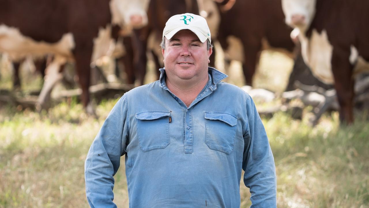 Injemira Herefords: Marc Greening perfects steers for Coles Graze | The ...