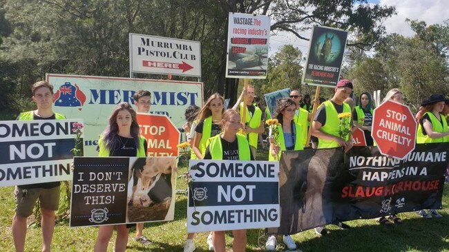 Activists hold a vigil for slaughtered former racehorses outside Meramist Abattoir this afternoon. Picture: Animal Liberation Queensland