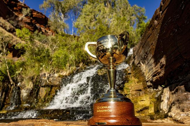 The Cup at Fortescue Falls in WA’s Karijini National Park. Picture: Colin Murty