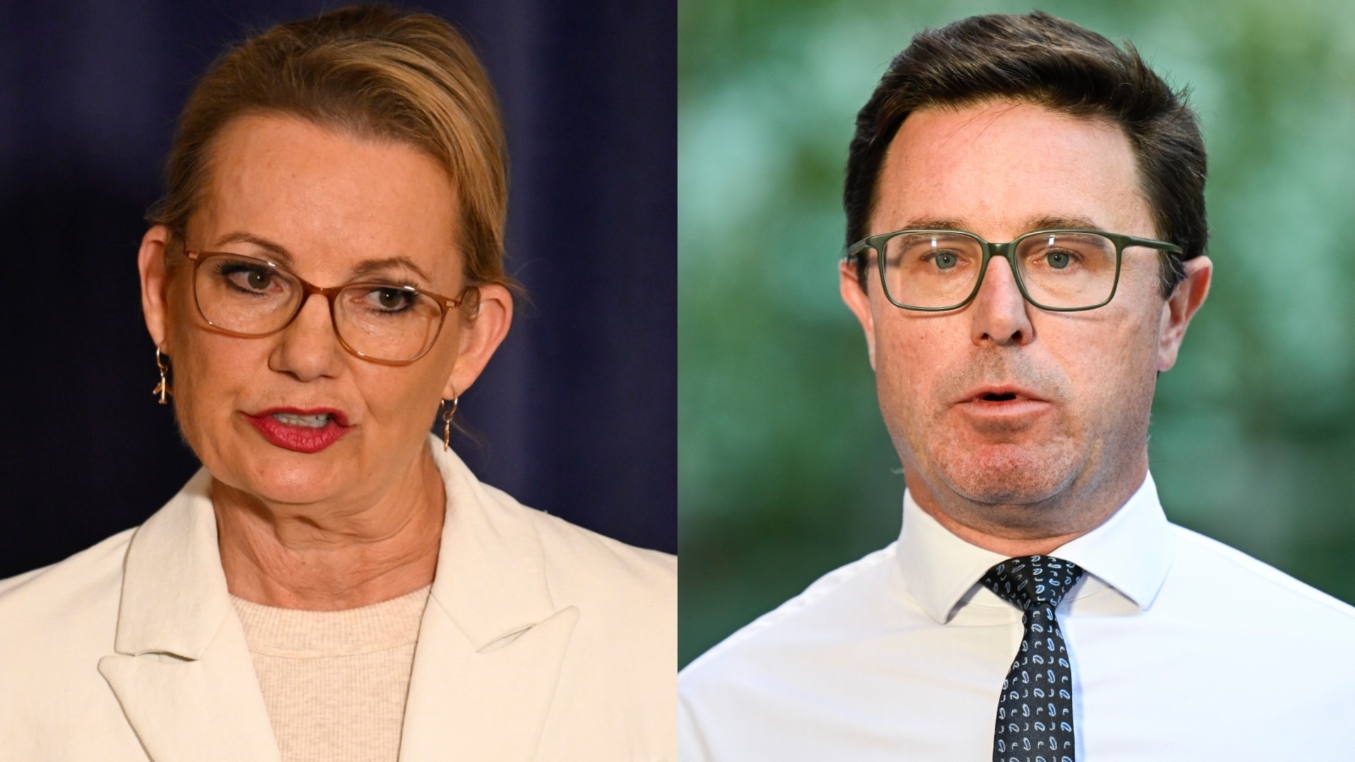 ‘Bit of sanity’ returns to Liberals and Nationals as put pause on split
