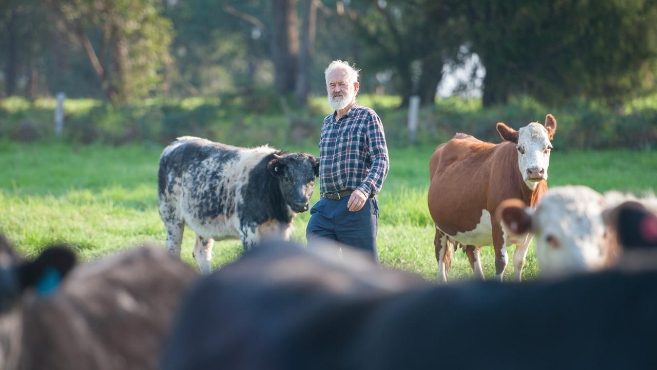 Gippsland farmers poised for key council roles