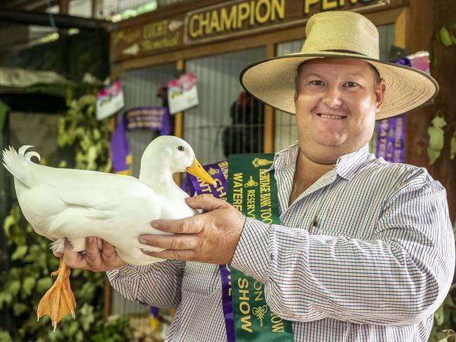 Bob Walsh with his Mallard white male young drake that won the Reserve Water Fowl at the Toowoomba Royal Show. Saturday, March 26, 2022. Picture: Nev Madsen.